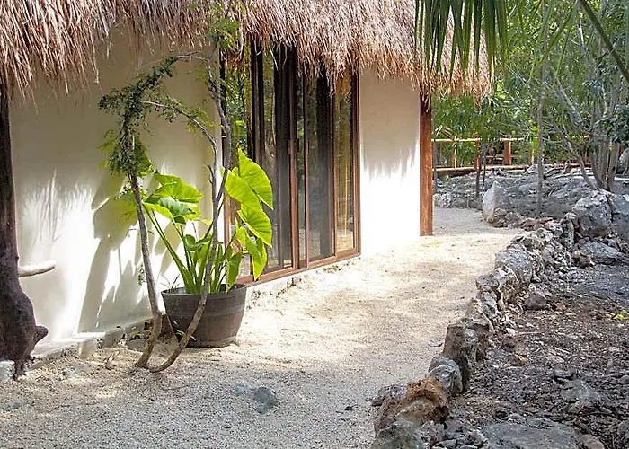 Pepem Holistic Experience